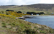 Falkland Islands, farm,arctic-travels.com
