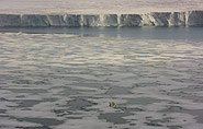 sea-ice, arctic-travels.com