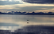 Spitzbergen, on sea, arctic-travels.com
