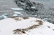 Antarkt. Halbinsel, arctic-travels.com